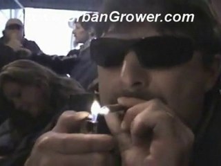 Resin Coffee Shop Amsterdam