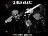 Ümit Yaşar Oğuzcan - Çaresizlik