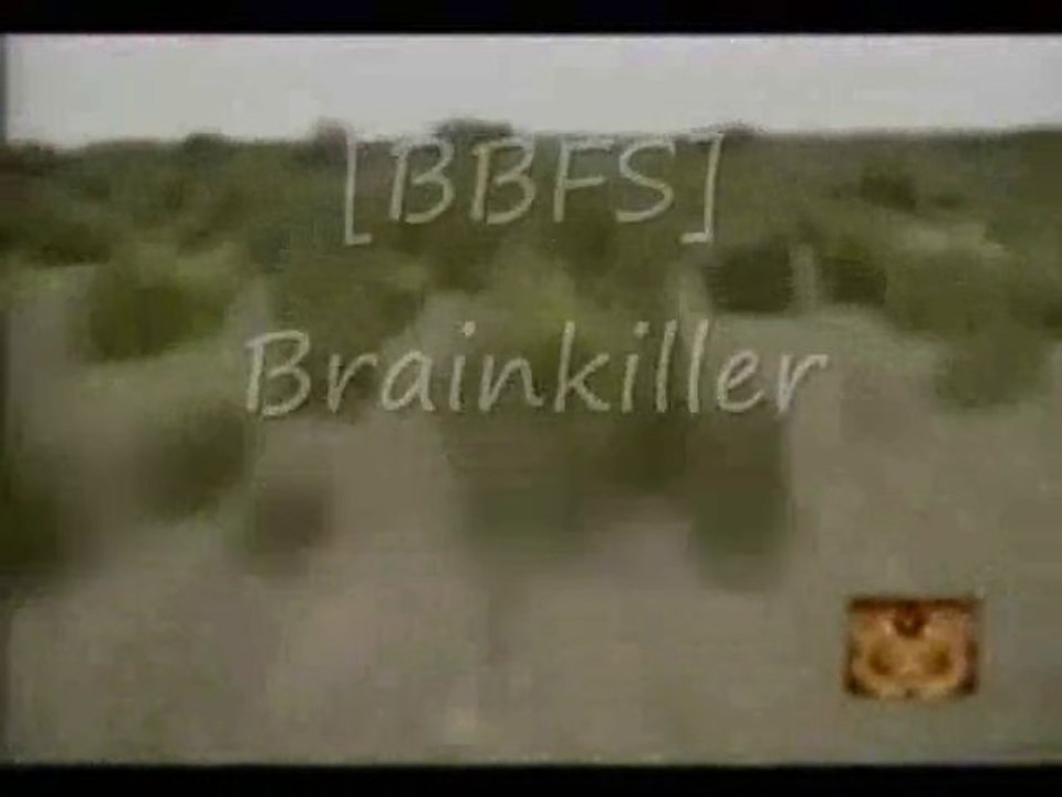 Die Bruderschaft