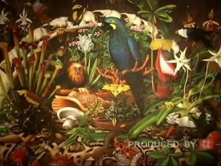 Steuben & Veronica Varekova Help The AWF