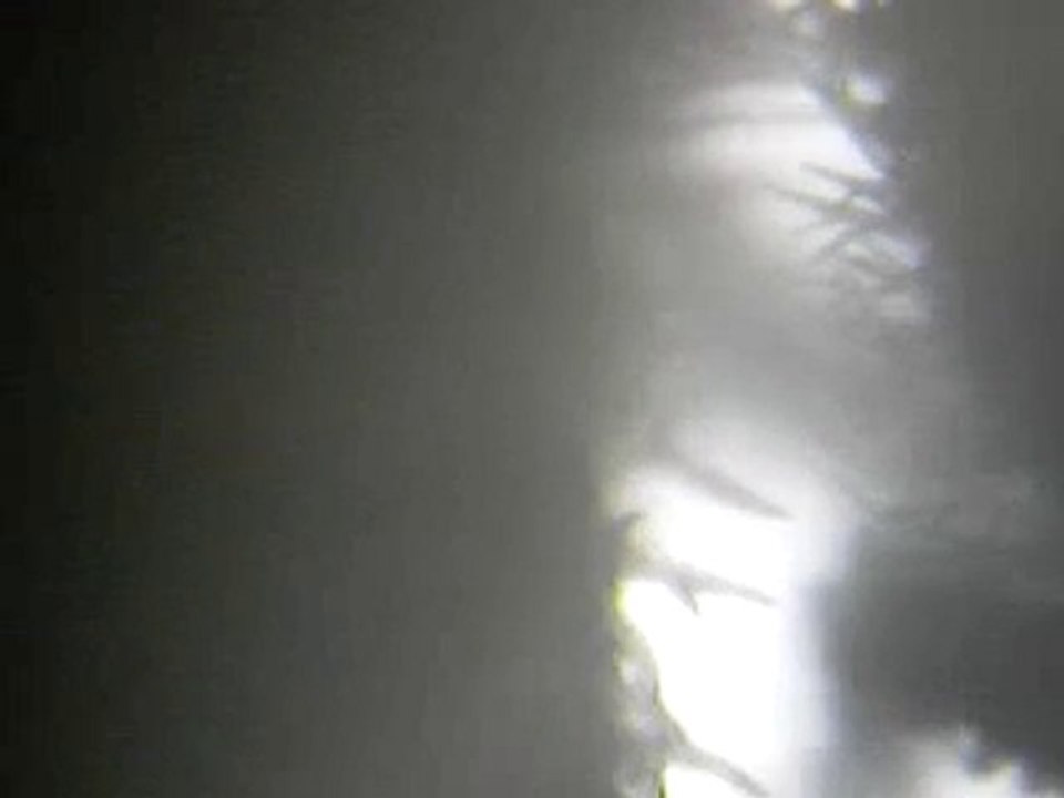 Tête de marijuana résineuse microscope X10 variété : La White Skunk " AJICéKAFOIRé"