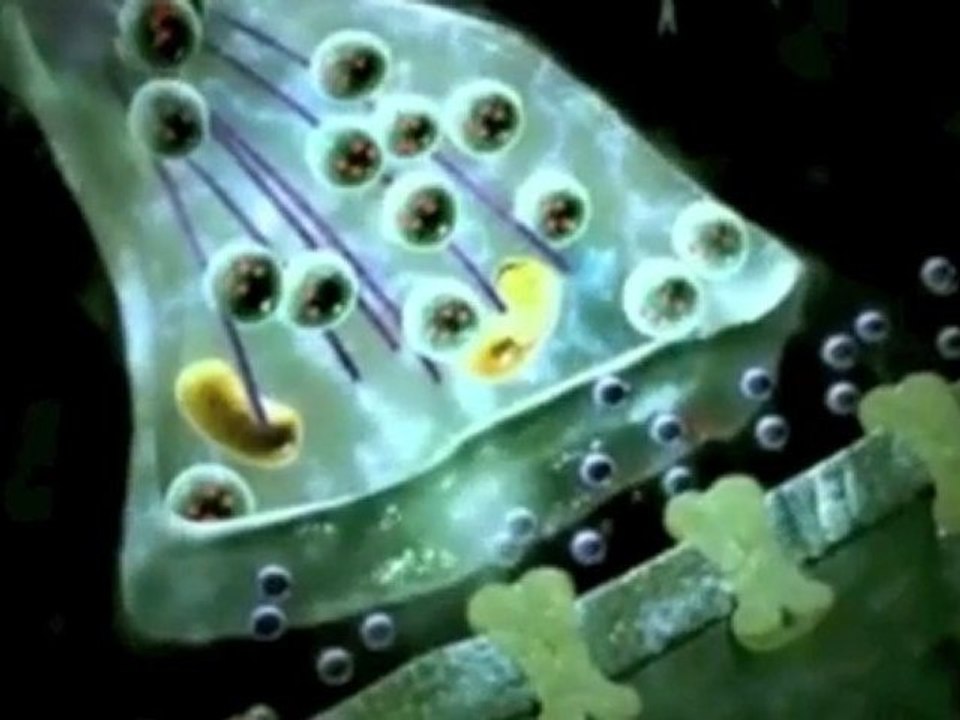 NeuroMed Matrix System