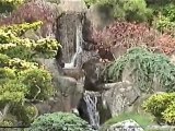 Japanese Gardens, San Francisco