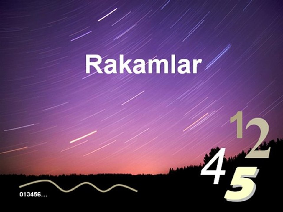 Rakamlar