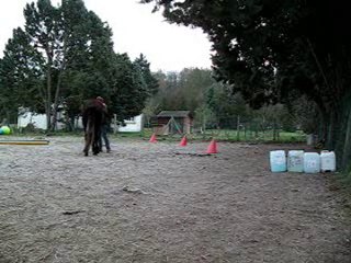 web 3. jeux de lamitie porc epique... 12.10