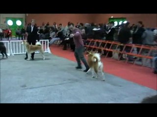 expo de Nantes 12.12.2010