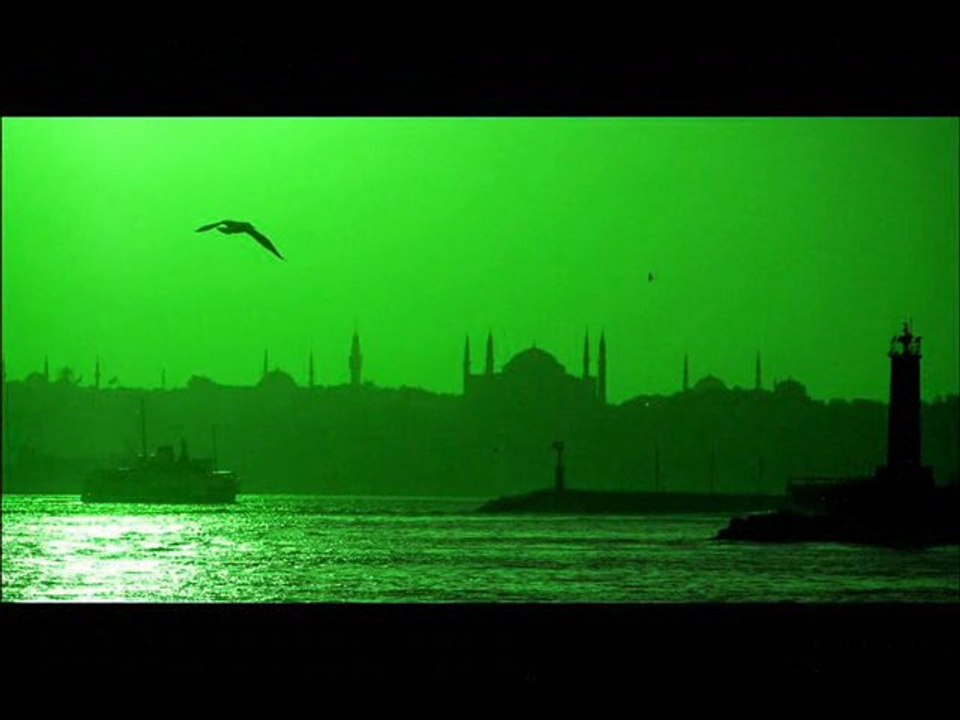 Bora Canymany-Passion