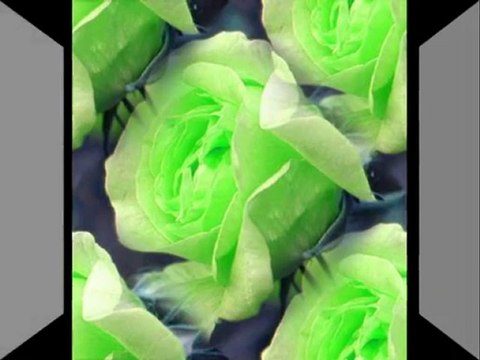 Sevdim Seni Ben Mabuduma Layık Diye Sevdim