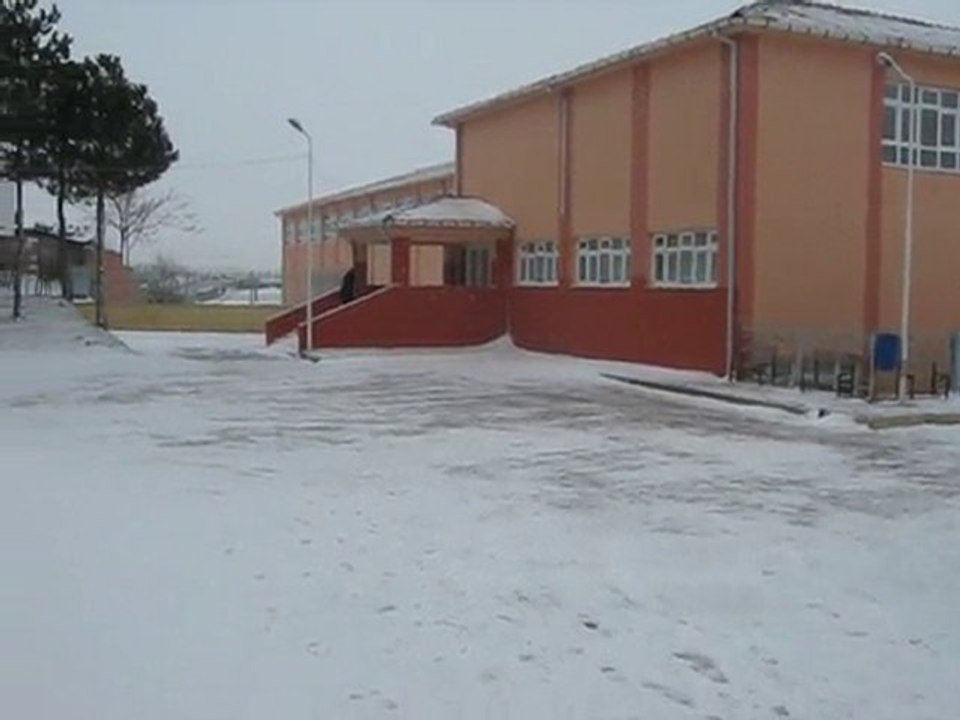 MVI_0219
