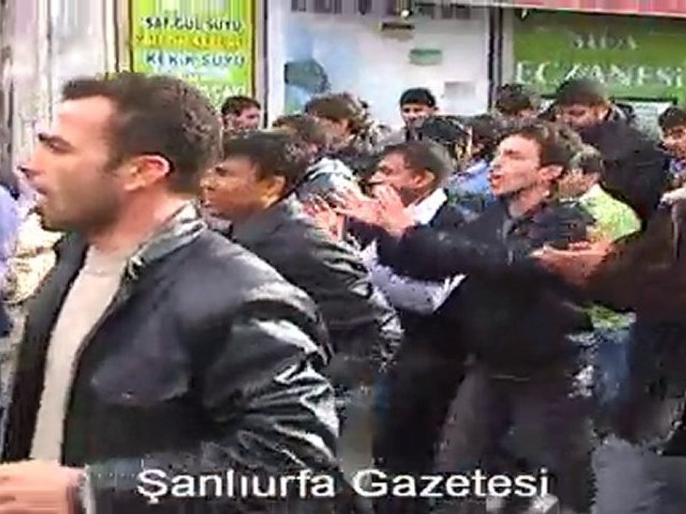 halk1
