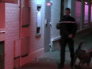 Opération anti délinquance 2