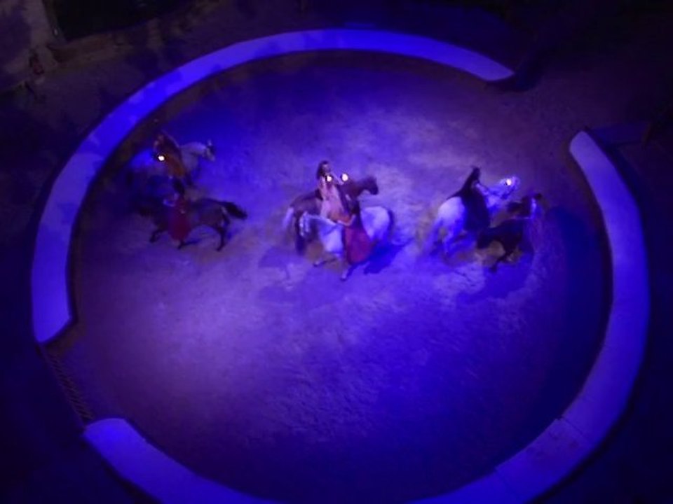 La Culturelle - L’Odyssée des chevaux du vent - 22/12/ 2010