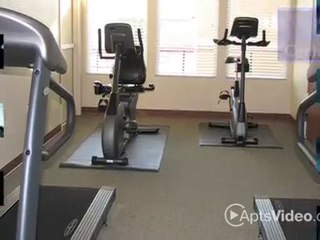 Horizon Crest Apartments in North Las Vegas, NV - ...