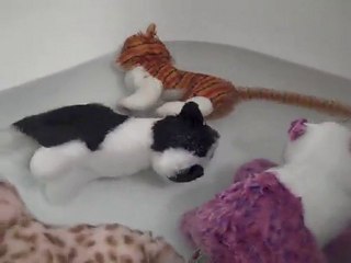 Webkinz Pool Party