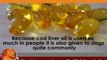 Cod Liver Oil Supplements for Dog Arthritis Treatment
