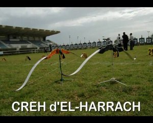 Tir à l'arc - CREH, EL-HARRACH - ALGER
