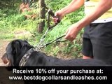 Reflective Leashes - Dog Leashes with Reflective Material