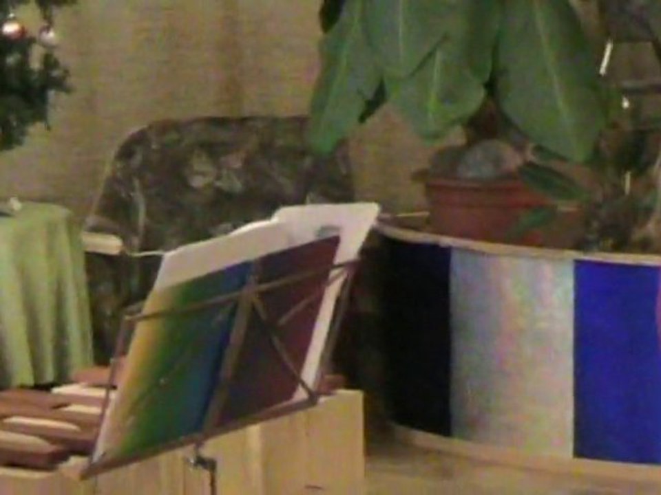 Weihnachtskonzert 2010 Musikschule Mücheln, Flötengruppe -1-