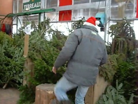 ptit saut ds les sapins