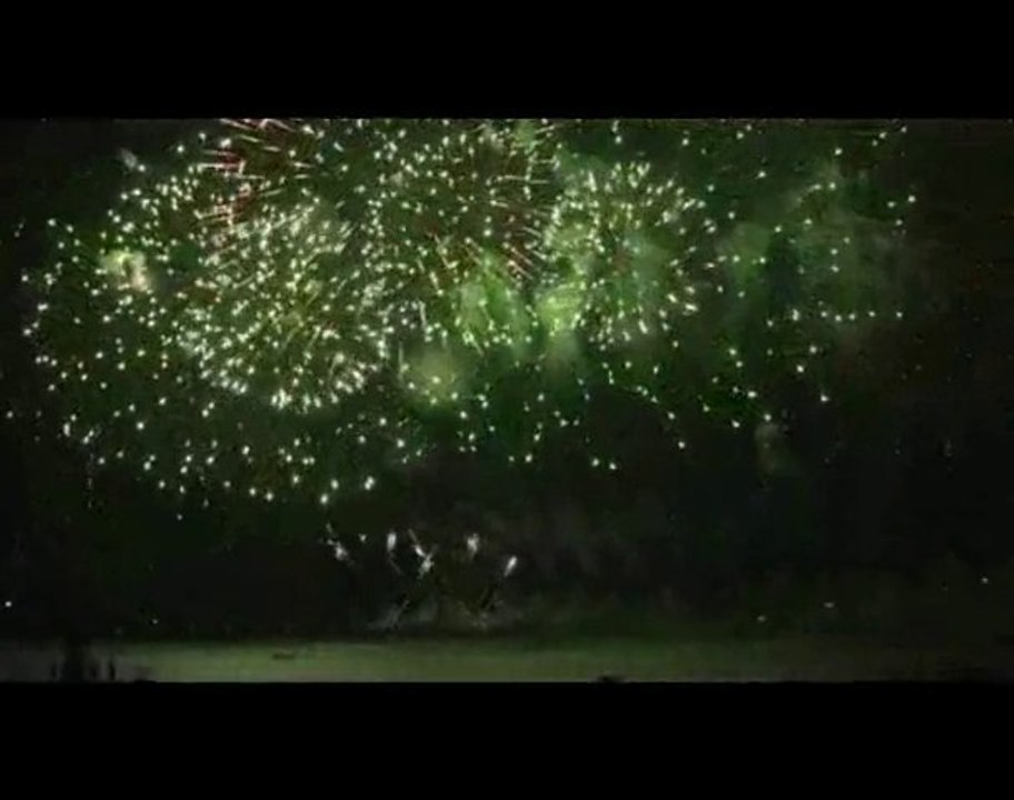 bonne année 2011