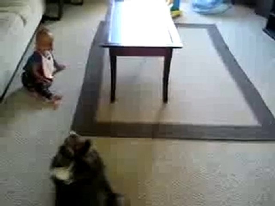 Bebe s'amuse avec son chien