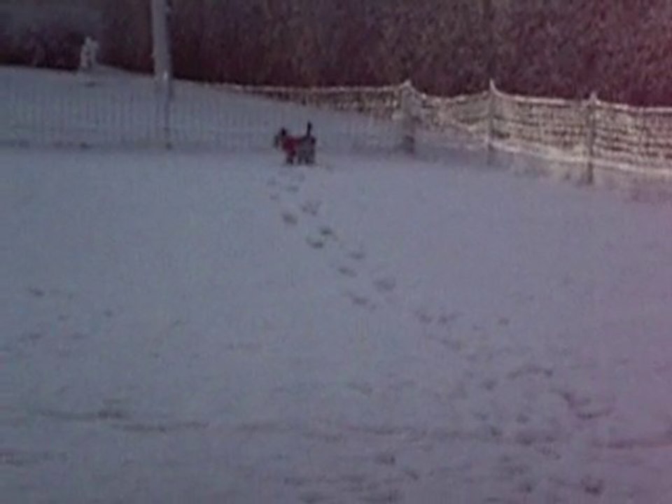 A la neige