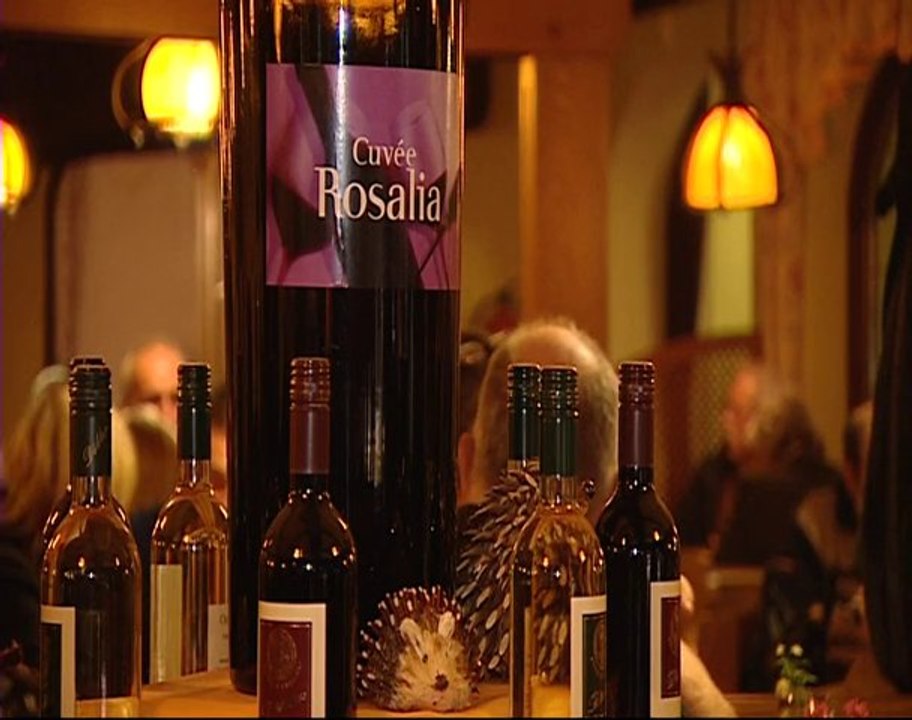 Der bei den Gästen beliebte Probuskeller