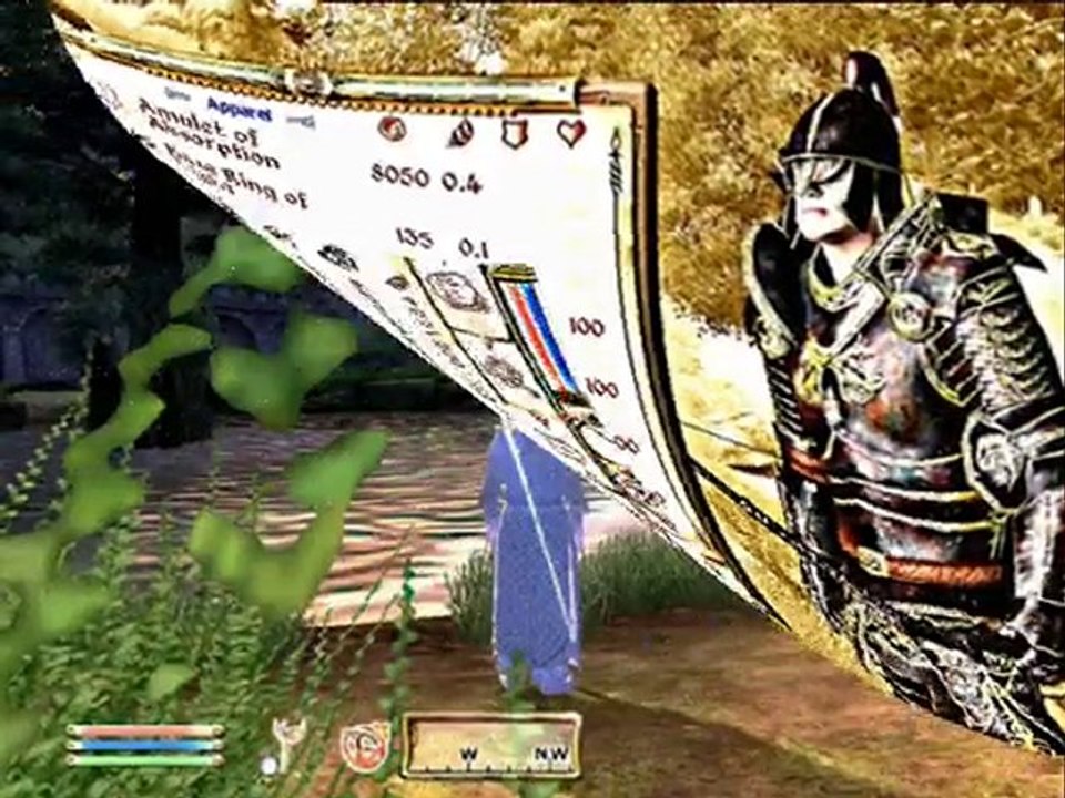 The Elder Scrolls IV: Oblivion