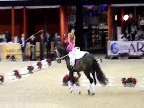 Salon villepinte Voltige