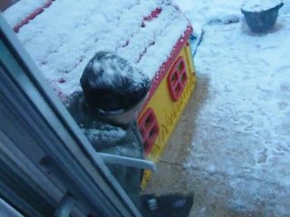 bataille neige
