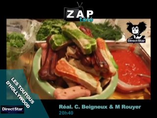 Zapping du 17 décembre 2010