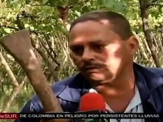 Colombia: en peligro cerca de un millón de empleos