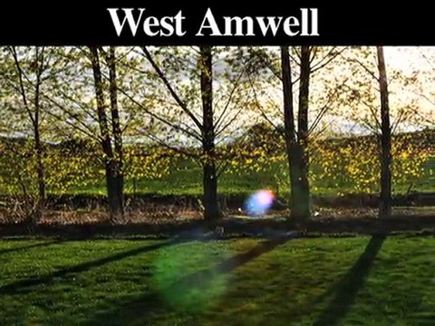 Tree Stump Removal | Stump Grinding | East Amwell-West Amwe