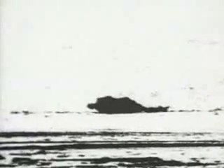 Silencer - Sterile Nails And Thunderbowels