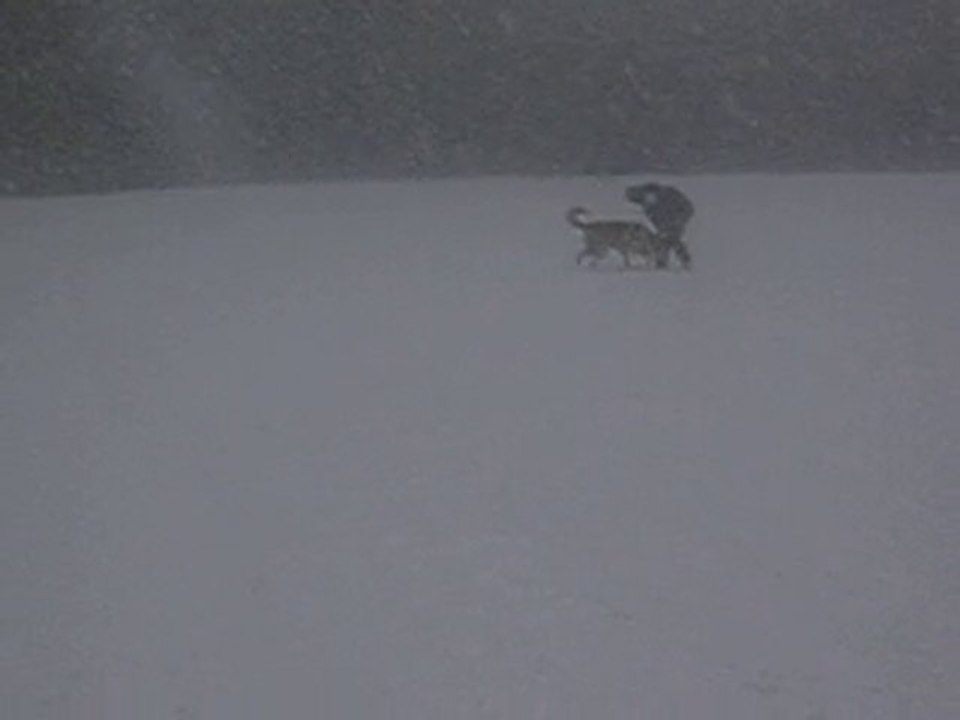neige