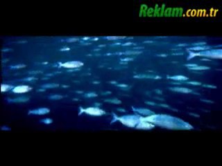 Toyota - Fırtına (Ramiz Dayı)