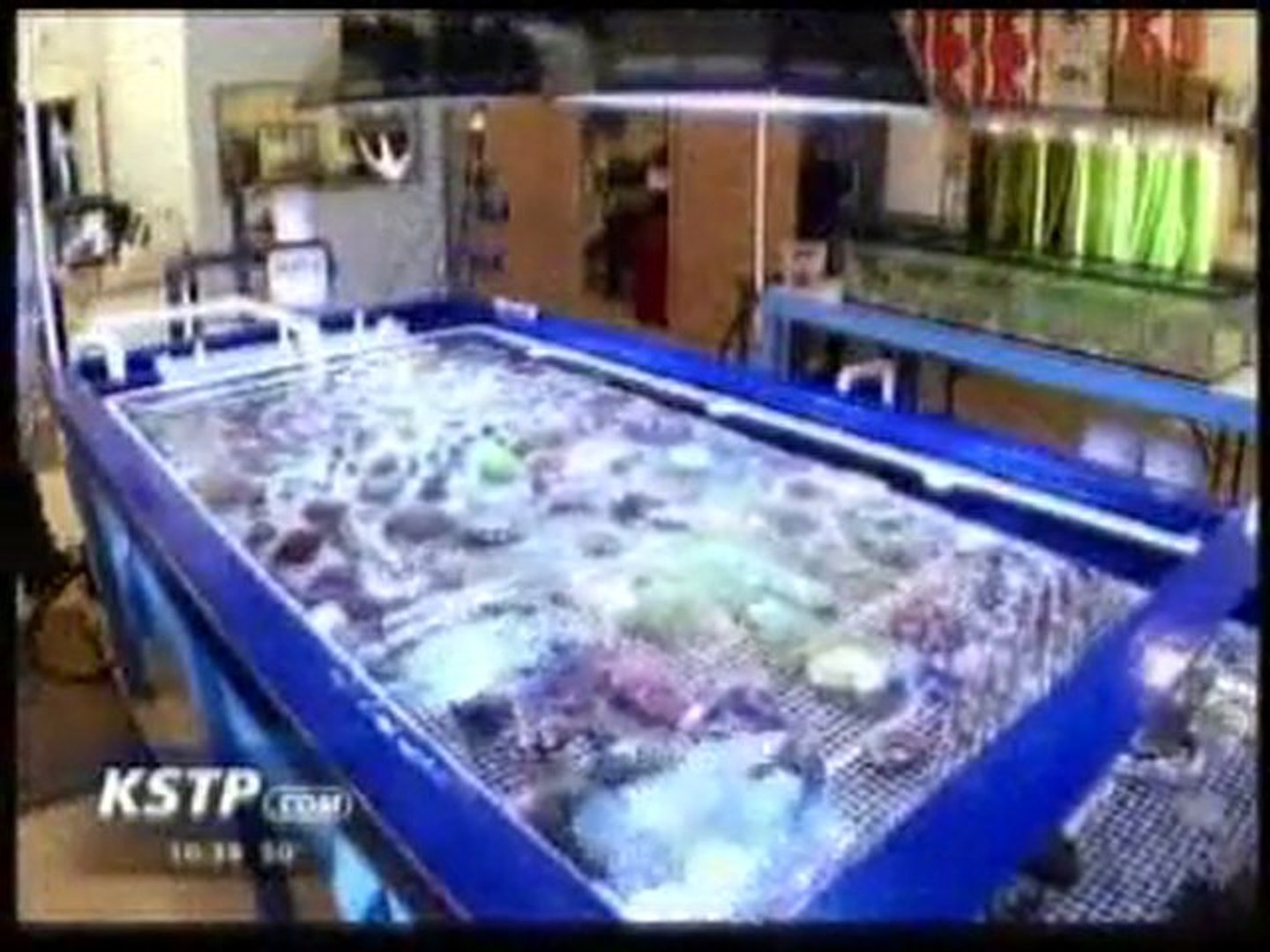 ⁣Cosmic Aquatics on KSTP