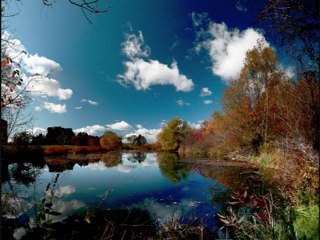 ENOJO Y TRISTEZA    - REFLEXION -