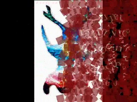 PURAPURA WHETU / STAR DUST, ARTWORKS ARTIST RUA PICK, 2006