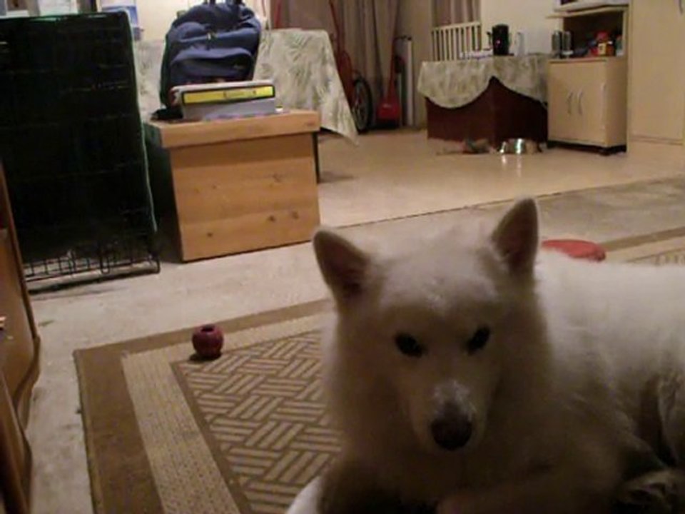 La complainte du phoque en Alaska