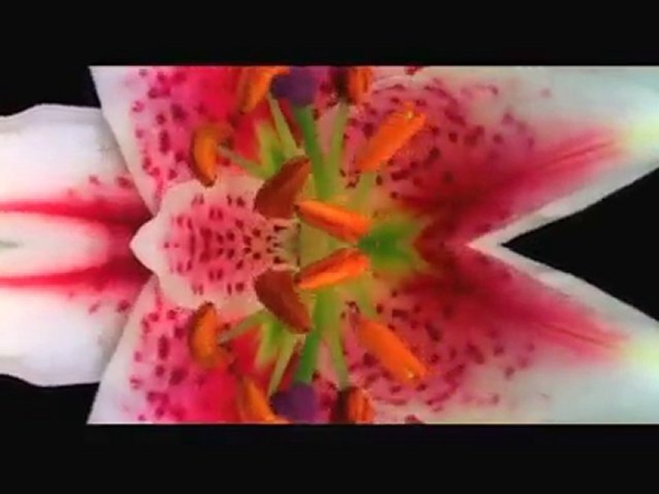 Infiniti: Inspired Performance