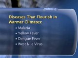 Global Warming And The Spread Of Disease And Famine : Which diseases are likely to spread more rapidly due to global warming?