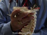 How Chiropractic Helps Headaches with Brandon Chiropractor