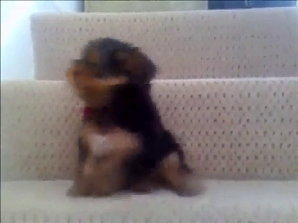 Kim İndirecek Bunu Merdivenden