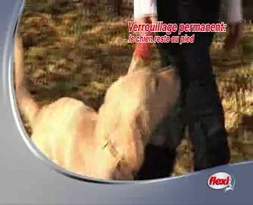 Laisse enrouleur Flexi