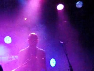 bonobo