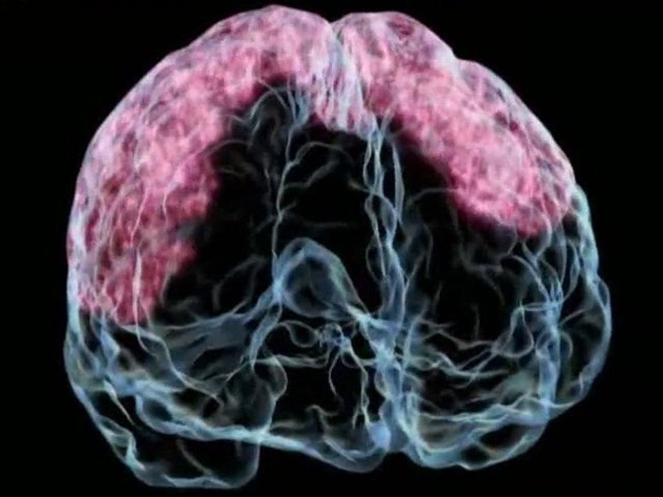 Incroyable Corps Humain 1