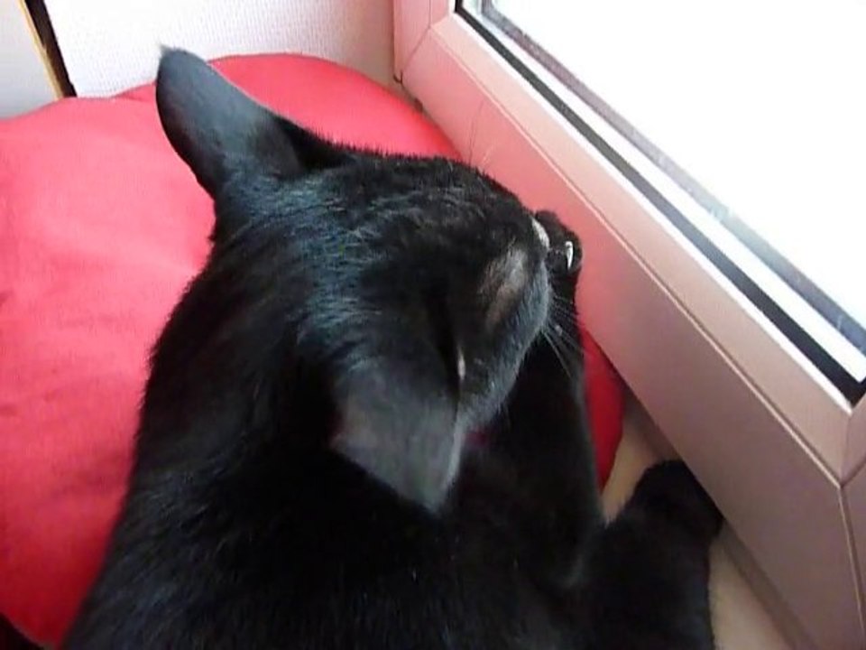J'suis soigneux, moi !