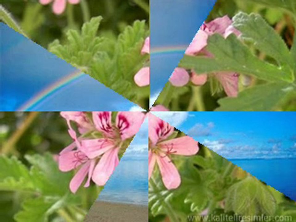 GÜNEŞ  TOPLA  BENİM  İÇİN   ZÜLFÜ  LİVANELİ