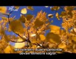 Sat-7 Türk: harikalar Tanrı - God of Wonders (Türkçe)